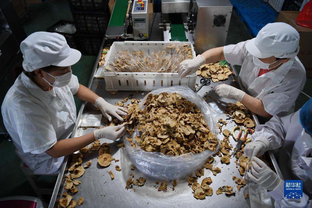 皇冠现全网